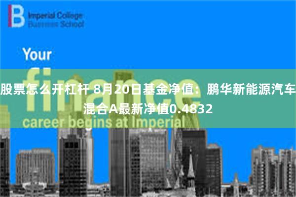 股票怎么开杠杆 8月20日基金净值:鹏华新能源汽车混合A最新净值0.4832