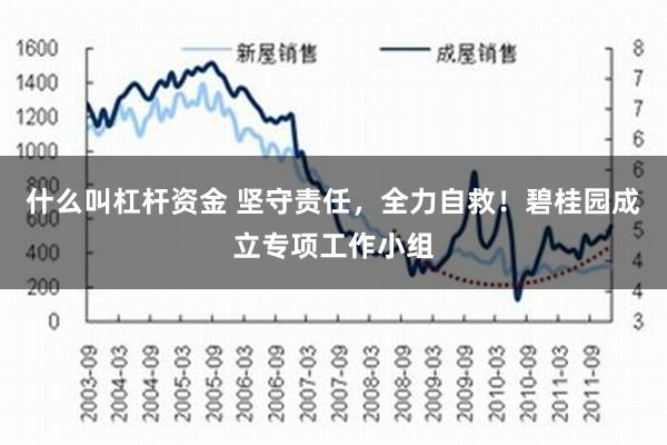 什么叫杠杆资金 坚守责任，全力自救！碧桂园成立专项工作小组