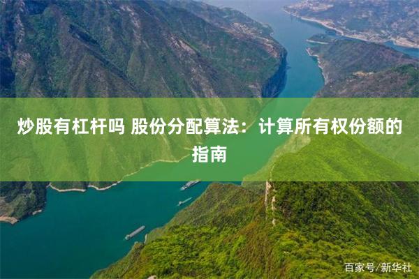 炒股有杠杆吗 股份分配算法：计算所有权份额的指南