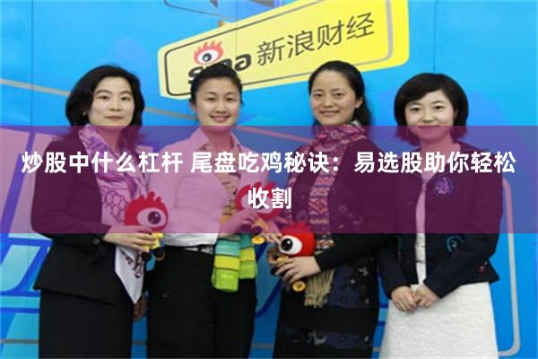 炒股中什么杠杆 尾盘吃鸡秘诀：易选股助你轻松收割