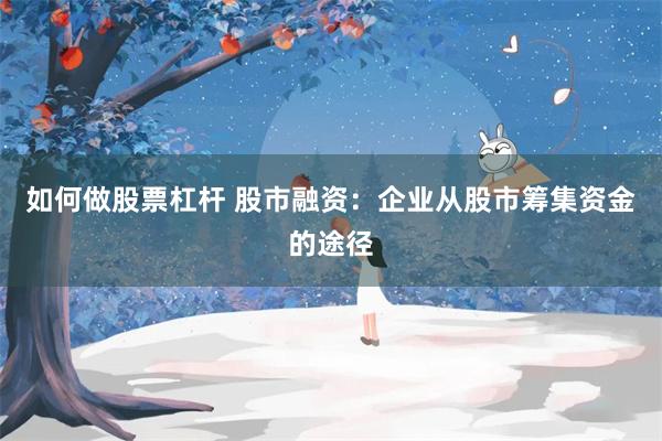 如何做股票杠杆 股市融资：企业从股市筹集资金的途径