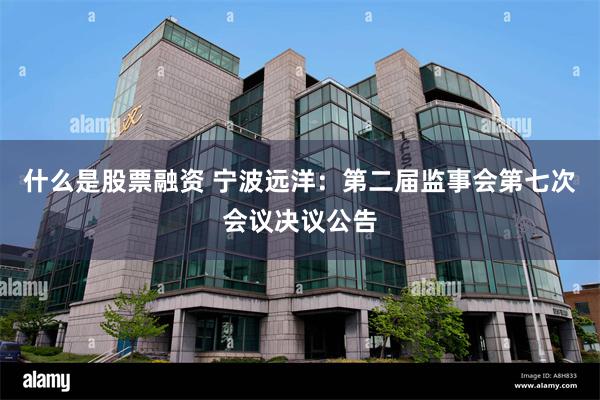 什么是股票融资 宁波远洋：第二届监事会第七次会议决议公告