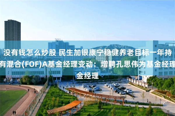 没有钱怎么炒股 民生加银康宁稳健养老目标一年持有混合(FOF)A基金经理变动：增聘孔思伟为基金经理