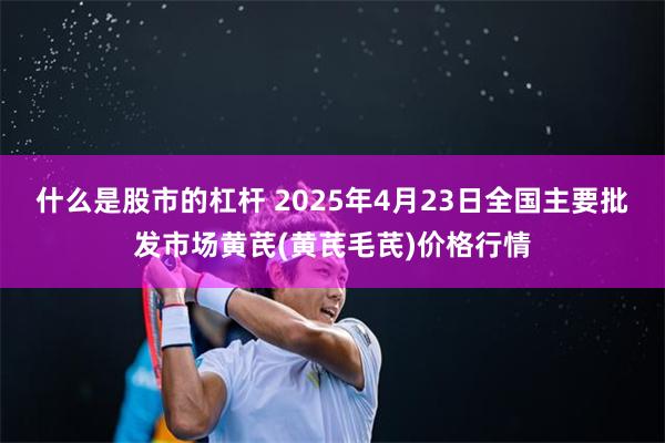什么是股市的杠杆 2025年4月23日全国主要批发市场黄芪(黄芪毛芪)价格行情