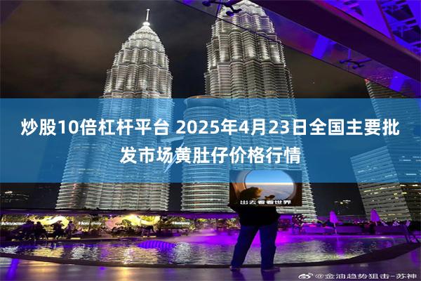 炒股10倍杠杆平台 2025年4月23日全国主要批发市场黄肚仔价格行情
