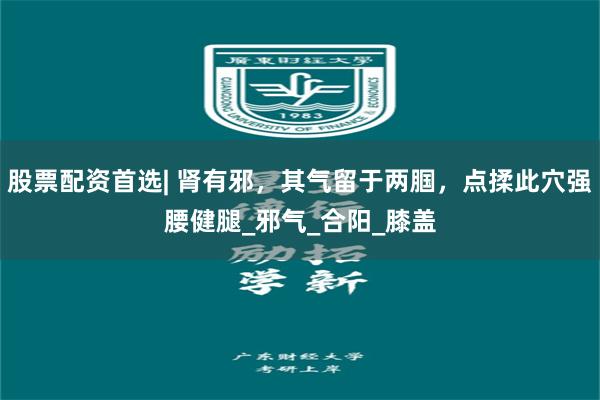 股票配资首选| 肾有邪，其气留于两腘，点揉此穴强腰健腿_邪气_合阳_膝盖