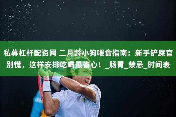 私募杠杆配资网 二月龄小狗喂食指南：新手铲屎官别慌，这样安排吃喝最省心！_肠胃_禁忌_时间表
