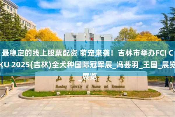 最稳定的线上股票配资 萌宠来袭！吉林市举办FCI CKU 2025(吉林)全犬种国际冠军展_冯荟羽_王国_展览
