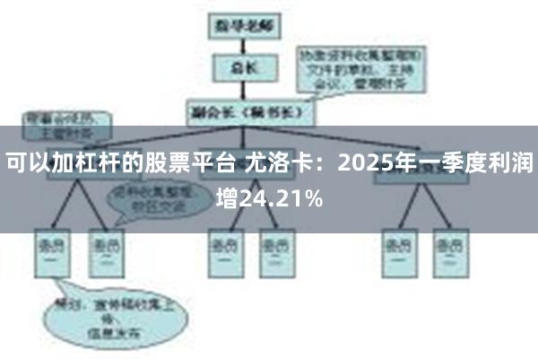 可以加杠杆的股票平台 尤洛卡：2025年一季度利润增24.21%