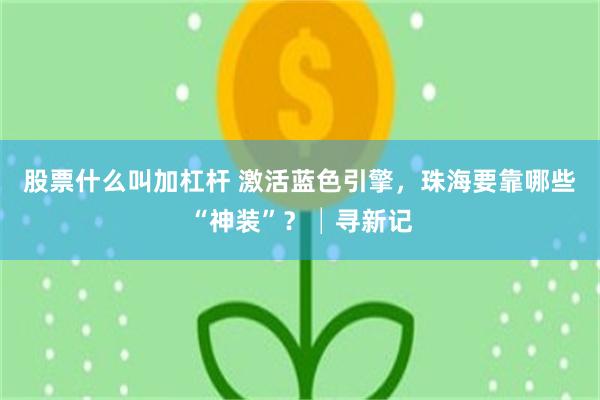 股票什么叫加杠杆 激活蓝色引擎，珠海要靠哪些“神装”？│寻新记