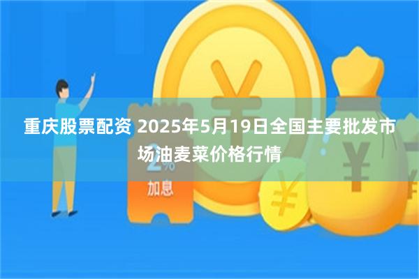 重庆股票配资 2025年5月19日全国主要批发市场油麦菜价格行情
