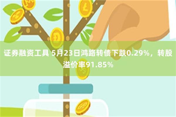 证券融资工具 5月23日鸿路转债下跌0.29%，转股溢价率91.85%