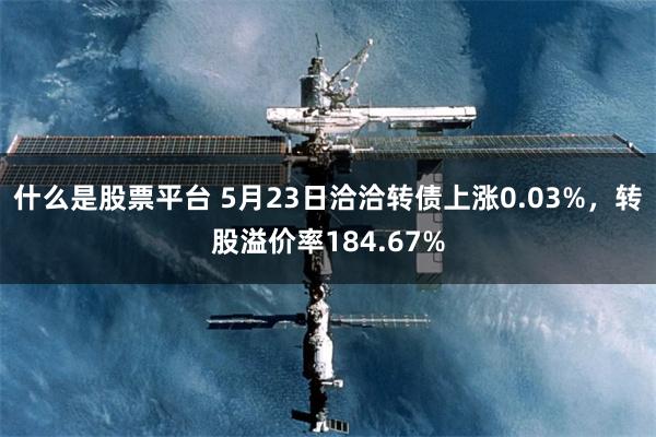什么是股票平台 5月23日洽洽转债上涨0.03%，转股溢价率184.67%