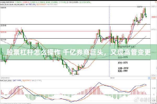 股票杠杆怎么操作 千亿券商巨头，又现高管变更