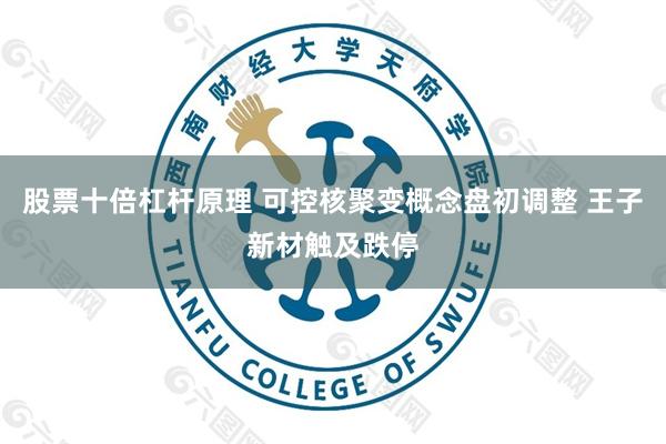 股票十倍杠杆原理 可控核聚变概念盘初调整 王子新材触及跌停