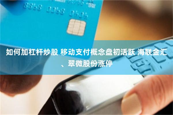 如何加杠杆炒股 移动支付概念盘初活跃 海联金汇、翠微股份涨停