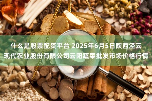 什么是股票配资平台 2025年6月5日陕西泾云现代农业股份有限公司云阳蔬菜批发市场价格行情