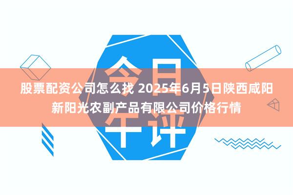 股票配资公司怎么找 2025年6月5日陕西咸阳新阳光农副产品有限公司价格行情