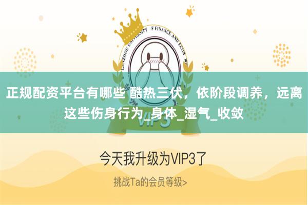 正规配资平台有哪些 酷热三伏，依阶段调养，远离这些伤身行为_身体_湿气_收敛