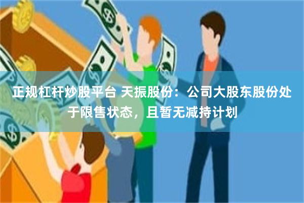正规杠杆炒股平台 天振股份：公司大股东股份处于限售状态，且暂无减持计划