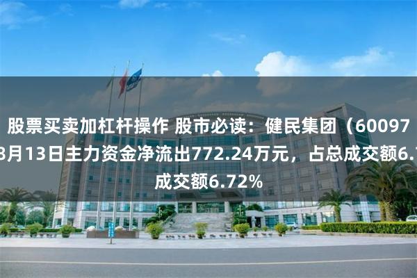 股票买卖加杠杆操作 股市必读：健民集团（600976）8月13日主力资金净流出772.24万元，占总成交额6.72%